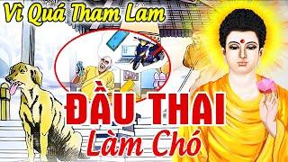 Nhân Quả Báo Ứng Hay Nhất 2024 Vì Quá THAM LAM Người Đàn Bà Kiếp Sau Bị ĐẦU THAI LÀM CHÓ Để Giữ Của