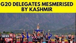 G20 Delegates Enjoy Indian Hospitality In Kashmir  G20 Summit In Srinagar  English News  News18