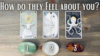 Their Current FEELINGS for You Pick A Card * in Depth Love Tarot Reading