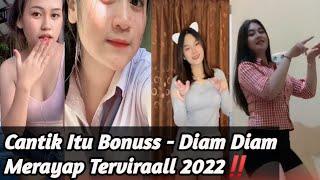 Terviraall 2022  Cantik Itu Bonus - Diam Diam Merayap Terbaru