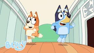 Bluey Saison 1 Épisodes complets  Bluey Français Chaîne Officielle