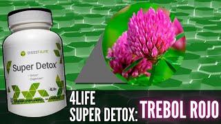 4Life Super Detox - TREBOL ROJO  BENEFICIOS