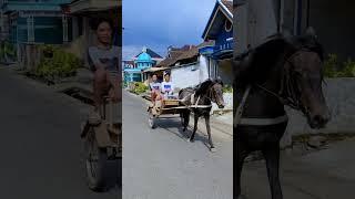 Jalani dengan penuh syukur #horse #pecintakuda #automobile #kandangkuda #anakkuda #equestrian