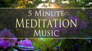 5 Minute Calming Meditation Music ‍️ with Beautiful Summer Nature Footage 