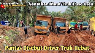 Tak Mau Menyerah  Truk Fuso Paksa Habis Habisan Lewat Lumpur