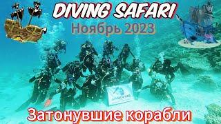 Дайвинг Сафари с AquaWorld Diving. Ноябрь 2023 г.
