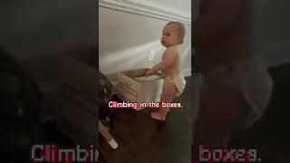 Baby climbing in boxes #baby #shorts #explore