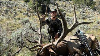 90yrd Archery Shot Wyoming Elk Hunt - Stuck N The Rut 193