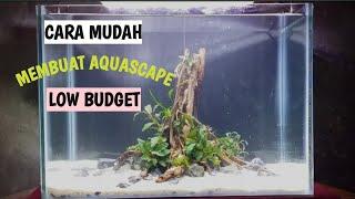 Cara Mudah Membuat Aquascape Low Budget Tanpa Co2