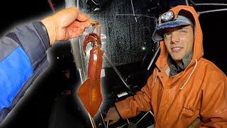 24 Hours as a Commercial Squid Fisherman Selling Direct to Consumer