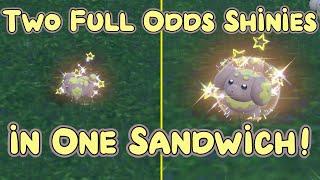 Two Full Odds Shiny Fidough in One Sandwich - Pokemon Violet