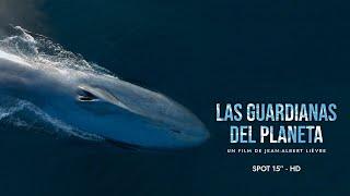 LAS GUARDIANAS DEL PLANETA - Spot 15  HD