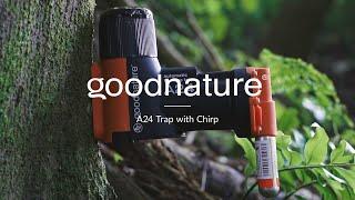 Goodnature A24 Trap With Chirp