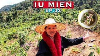 Iu Mien Lifestyle EP.32 - Iu Mien picking rattan shoots and banana blossom in the jungle