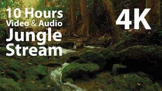 4K UHD 10 hours - Jungle Stream - mindfulness ambience relaxing meditation nature