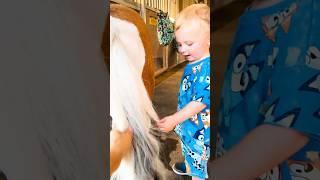 Brushing his Pony  #shortsvideo #shorts #horse #equestrian #pony