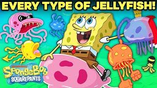 EVERY Type of Jellyfish in Bikini Bottom ️  SpongeBob