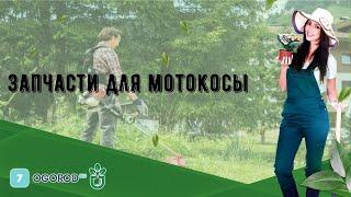 Запчасти для мотокосы