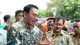 Ahok blusukan ke Taman Hayam Wuruk - NET12