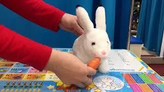 Интерактивный кролик Забавный Ушастик с морковкой