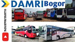 Damri - Bogor