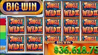 JACKPOT HANDPAY$37 BETSJUNGLE WILD 2 HIGH LIMIT SLOT MACHINE BUENO DINERO MUSEUM SLOTS WMS