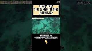 나트랑 여행 전 필수로 챙겨야할 준비물 체크리스트 #나트랑 #나트랑여행 #나트랑자유여행