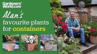 Five plants for containers  Alan Titchmarsh