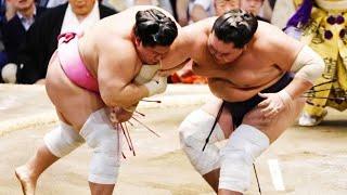 Nagoya Basho 2024 Day 7 Terunofuji vs Ura