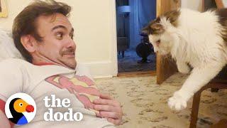 Guy Falls Into Toxic Love With His Stalker Foster Cat  The Dodo