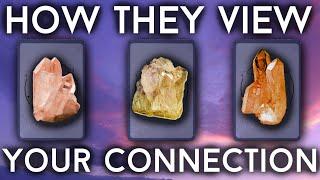 How They View Your Connection  {PICK A CARD}  Timeless Tarot Reading