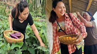 Life without Lam A bountiful eggplant harvest at Lys farm - Taking care of grandmother