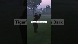 Tigers REMARKABLE shot in the dark 