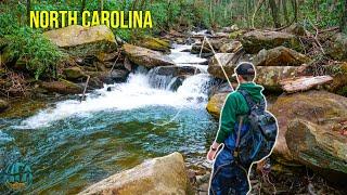 Fly Fishing North Carolina for 3 Days  Fly Fishing for Brook Rainbow and Brown Trout