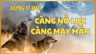 Bài học cuộc sống  Sống ở đời càng nỗ lực càng may mắn