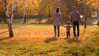 Family Walking in the Park  Free Stock Video  Royalty Free Video  No Copyright  Stock Free Video