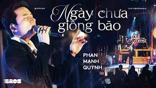 Ngày Chưa Giông Bão - Phan Mạnh Quỳnh  Live at Soul of The Forest