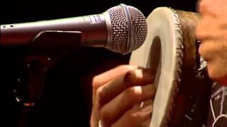 Tambourine Solo Greg Sheehan at TEDxSydney