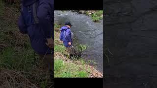 Small Creek #trout #hookset #shorts  Happy On The Fly