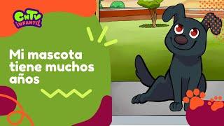 ¡Muchas mascotas  Mi mejor amigo