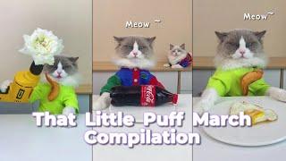 That Little Puff Compilation  March collection