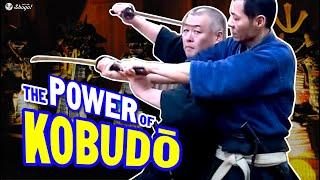 How Modern Budō Are NO MATCH For Kobudō Ancient Martial Arts @-asayamaichidenkai-161