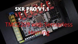 SKR Pro V1.1 - TMC2209 UART with Sensor less Homing