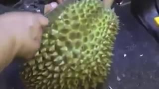 Cara Belah durian monthong yg mudah dan cepat