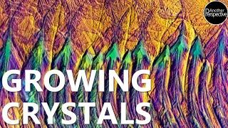 This Real Time Crystal Growth Video Will Stun You