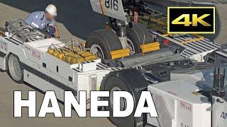 4K Towbarless tractors action - lifting the nose gear of Boeing 787 - Haneda Airport  羽田空港 ANA