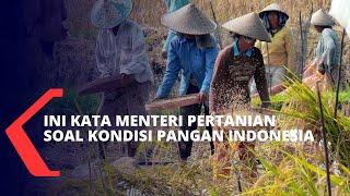 Ini Penjelasan Menteri Pertanian Terkait Tantangan dan Kondisi Sektor Pangan di Indonesia