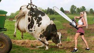 Thrilling Farm Adventure Cute Girl Uses Chainsaw to Milk Cows & Harvest Trees