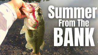 SUMMERTIME Bass Fishing FROM THE BANK 3 Lures You NEED