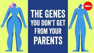 The genes you dont get from your parents but cant live without - Devin Shuman